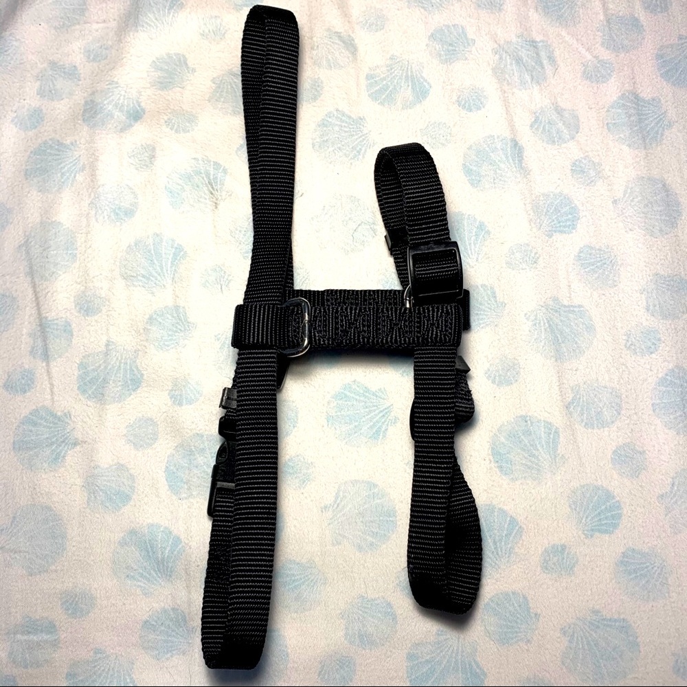 Black dog puppy harness